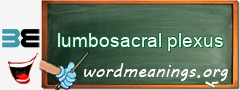 WordMeaning blackboard for lumbosacral plexus